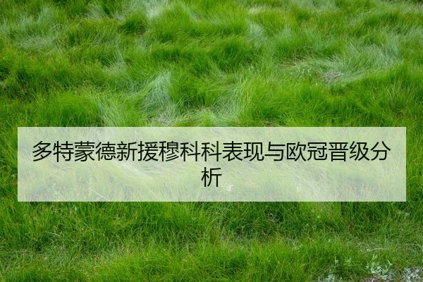 多特蒙德新援穆科科表现与欧冠晋级分析（Feifan）
