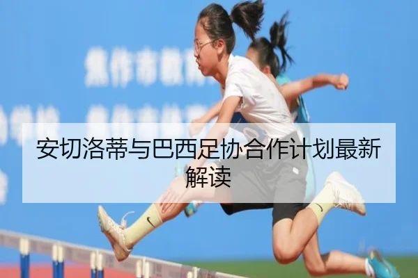 安切洛蒂与巴西足协合作计划最新解读 - Feifan